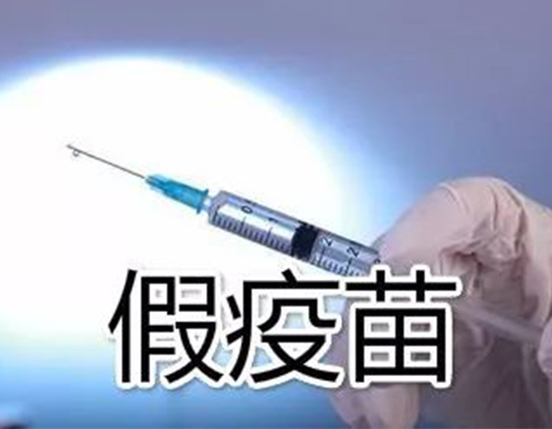 非洲豬瘟有疫苗了？假的！