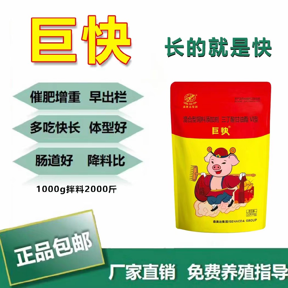 生豬如何高效催肥？
